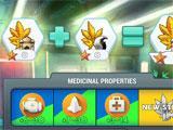 Hempire researching new strains