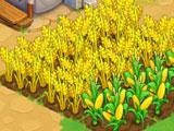 Tidal Town: Farm