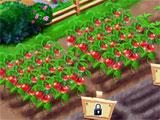 Farm Fest gameplay