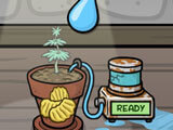 Munchie Farm: Watering the munchie plant