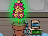 Munchie Farm