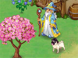 Dreamland Farm