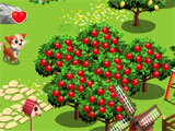 My New Farm My New Farm