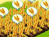 Birds Town 2: Farming