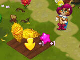 Harvesting crops in Wonder Valley