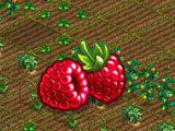 Superfarmers