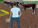 Collecting Vegetables in My Family Farm