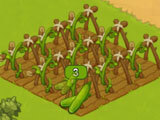 Farming Riches: Planting crops