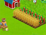 Treasure Bay Farm starting off