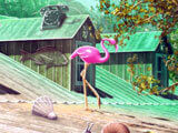 Hidden Object Farm Games Pink Flamingo