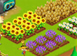City Farm game
