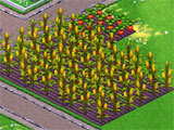 Mega Farm building up the farm