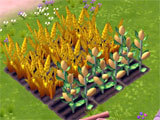 Happy Town Farm gameplay