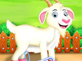 Milking a goat in Dairy Farming Dairy Farming milking a goat