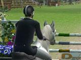 Ride: Equestrian Simulation