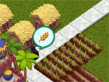 Planting wheat in Suncity