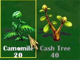 Choosing plants for garden Picking plants for garden