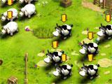 Animals in Royal Rush Royal Rush Animals