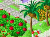 Choco Woods Gameplay