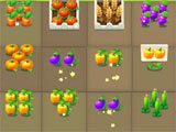 Leisure Farm - Harvest Season