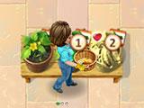 Sky High Farm Rooftop Farming
