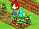Browser Games Browser Games