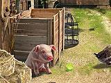 Farmington Tales Storage Room Hidden Object Scene
