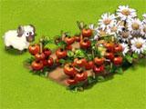 Dragon Friends: Green Witch Farm