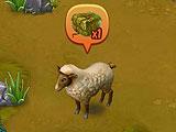 Golden Frontier Livestock