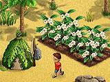 Coral Isle Farming