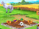 Farm Fields in Magic Seasons