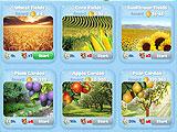 Magic Seasons Expeditions