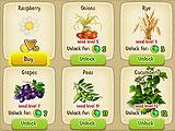Varieties of Plants in Oasis:The Last Hope