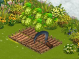 Harvesting your crops in Sarah's Adventure: Time Travel