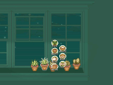 Taking care of the plants in Window Garden
