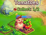 Harvesting tomatoes in the game