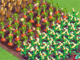 FarmVille2: Harvesting Crops