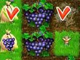 Ranch Rush: Growing Grapes Ranch Rush: Growing Grapes
