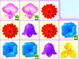Fairy Flowers Deluxe Fairy Flowers Deluxe
