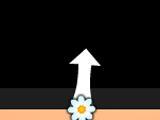 Flowers Bubble Flowers Bubble
