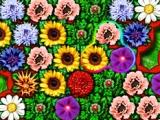 Beautiful flowers in Flowers Story