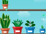 Terrarium: Idle Garden Terrarium: Idle Garden