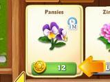 Flower Variety in Flower Ville Flower Ville Flower Variety