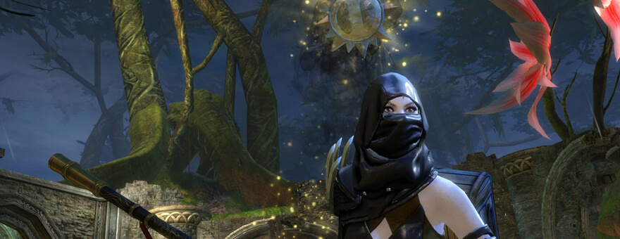 Guild Wars 2 large