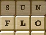 Making Words in Words Crush: Hidden Words Making Words in Words Crush: Hidden Words