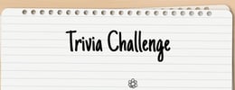 3 Fun Alternatives to AARP's Right Again Trivia Games thumb