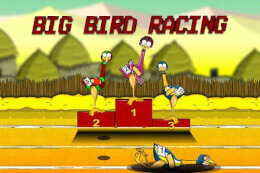Big Bird Racing thumb