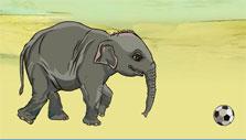 Game Elephant Sanctuary