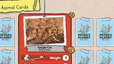 Collecting Animal Cards