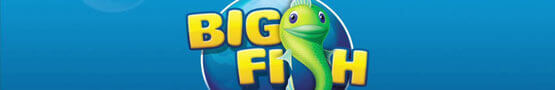 Why You Should Join the Big Fish Game Club? preview image